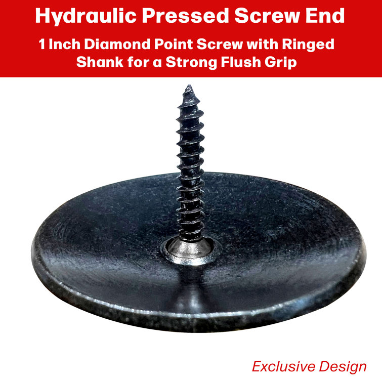 50 Pack Black Hammered Iron Decorative Nail Screws