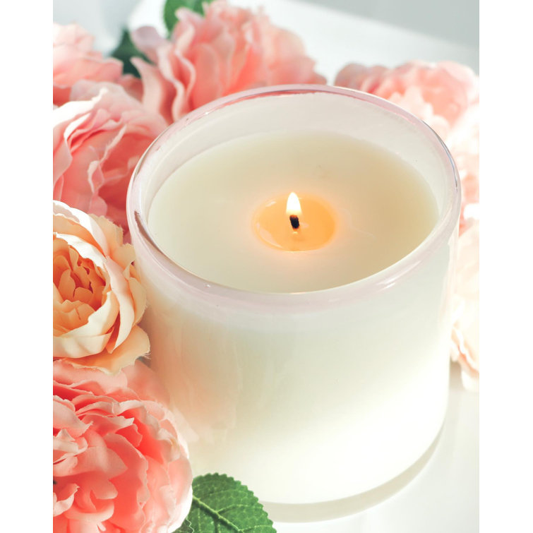 Blush Rose 6 oz Soy Wax Candle with Pink Pepper & Bergamot Notes