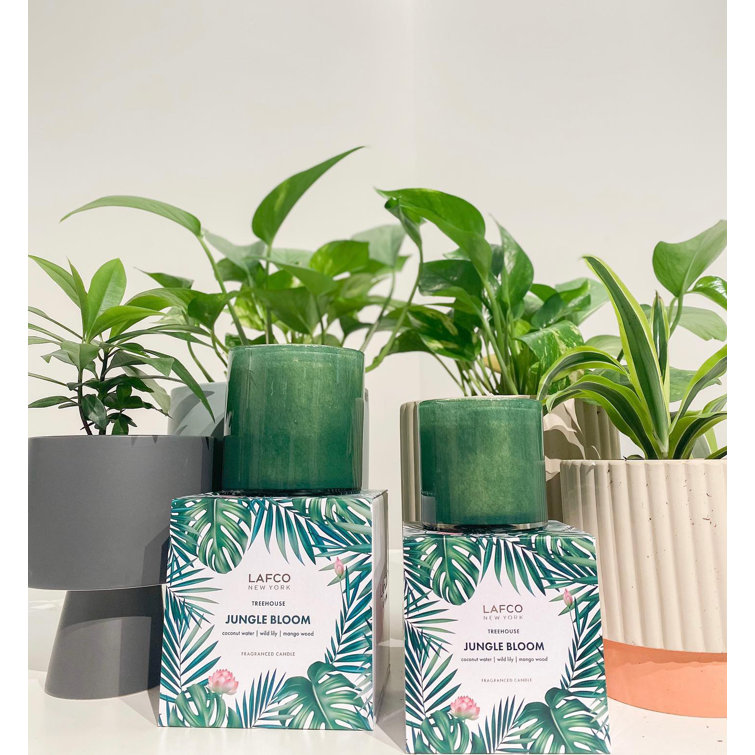 Verdant Breeze Soy Wax Scented Candle with Single Wick