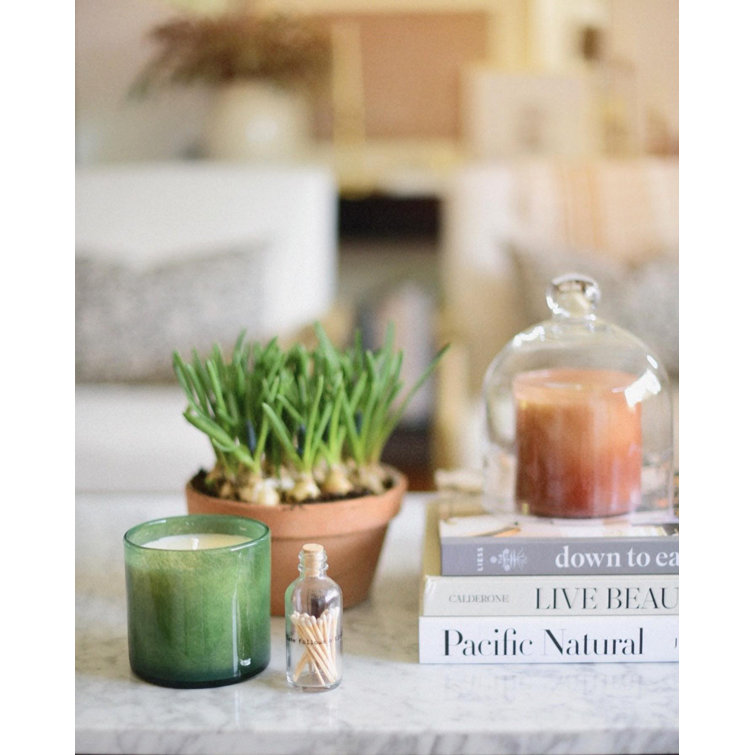 Verdant Breeze Soy Wax Scented Candle with Single Wick