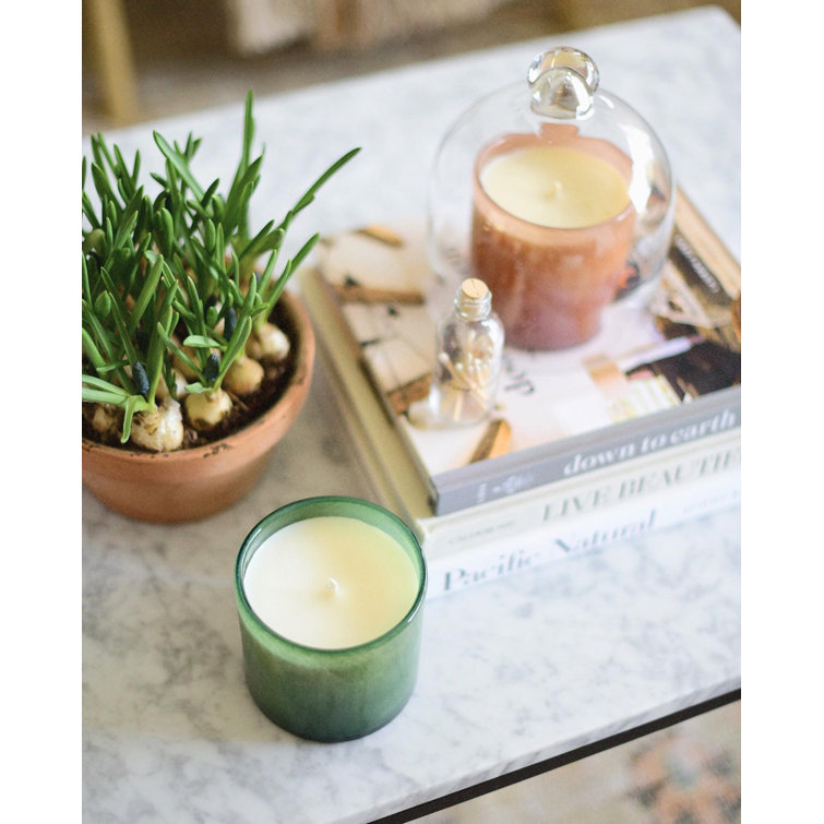 Verdant Breeze Soy Wax Scented Candle with Single Wick