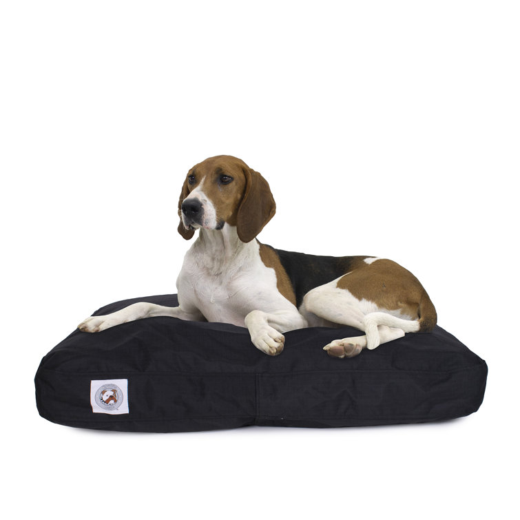 X-Large Black Waterproof Orthopedic Elevated Dog Bed