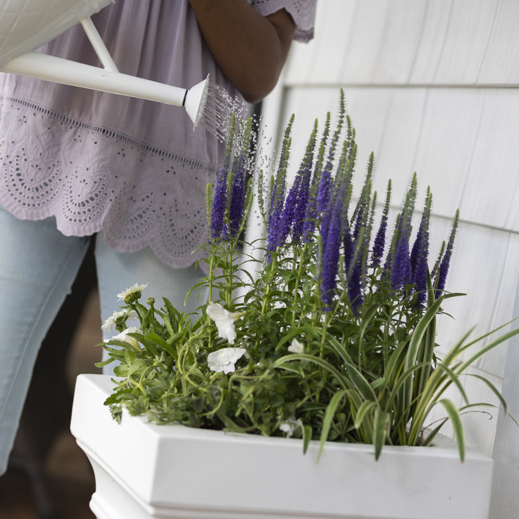 Atherton 24" White High-Density Resin Self-Watering Planter Box Set