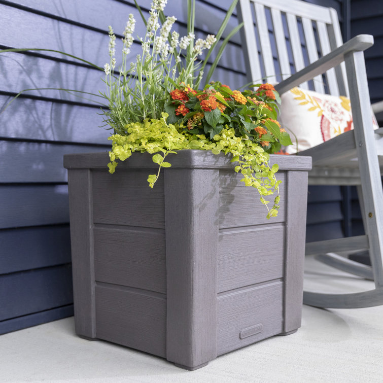 Lakewood Dark Cedar Self-Watering Planter Box 2-Pack