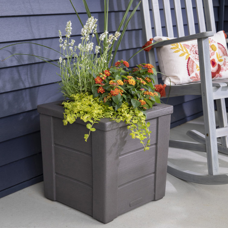 Lakewood Dark Cedar Self-Watering Planter Box 2-Pack