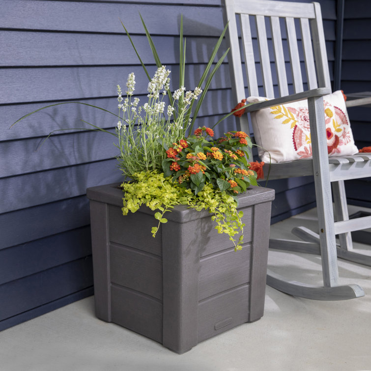 Lakewood Dark Cedar Self-Watering Planter Box 2-Pack