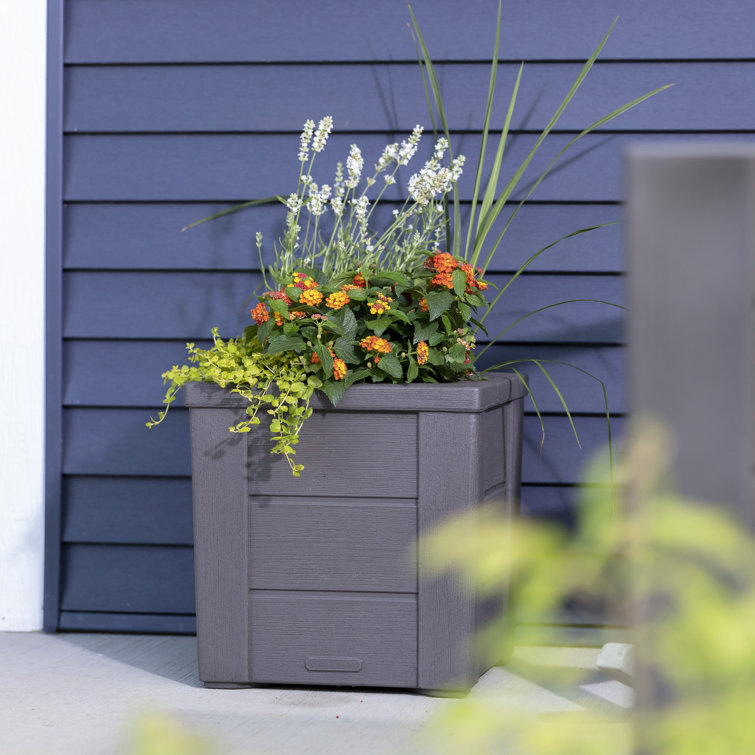 Lakewood Dark Cedar Self-Watering Planter Box 2-Pack
