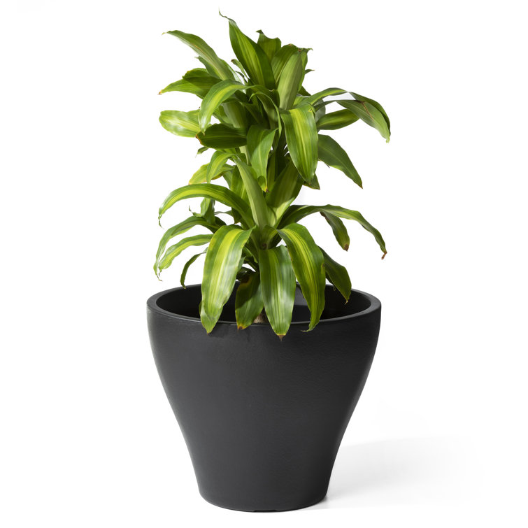 Fernway Onyx Black 25-Quart Weather-Resistant Round Planter