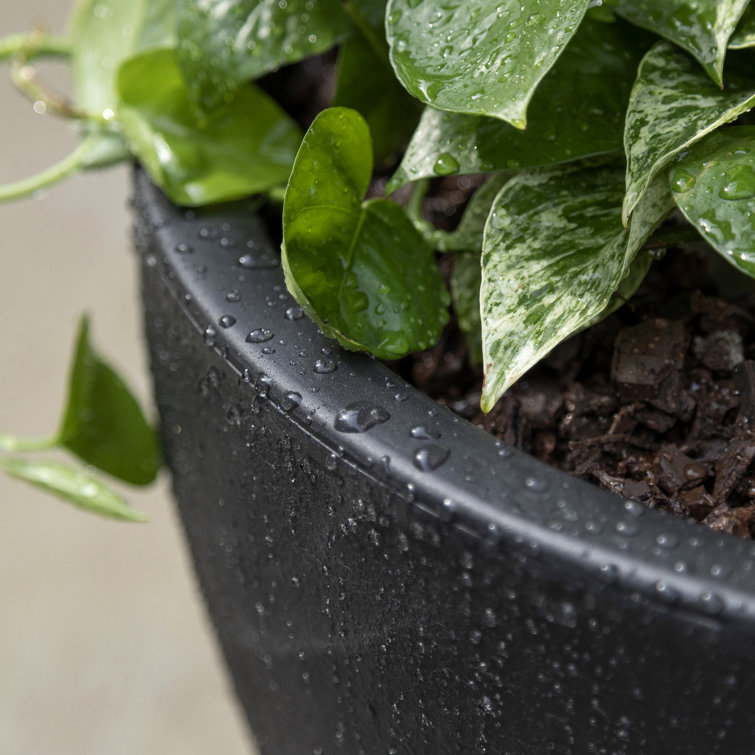 Fernway Onyx Black 25-Quart Weather-Resistant Round Planter