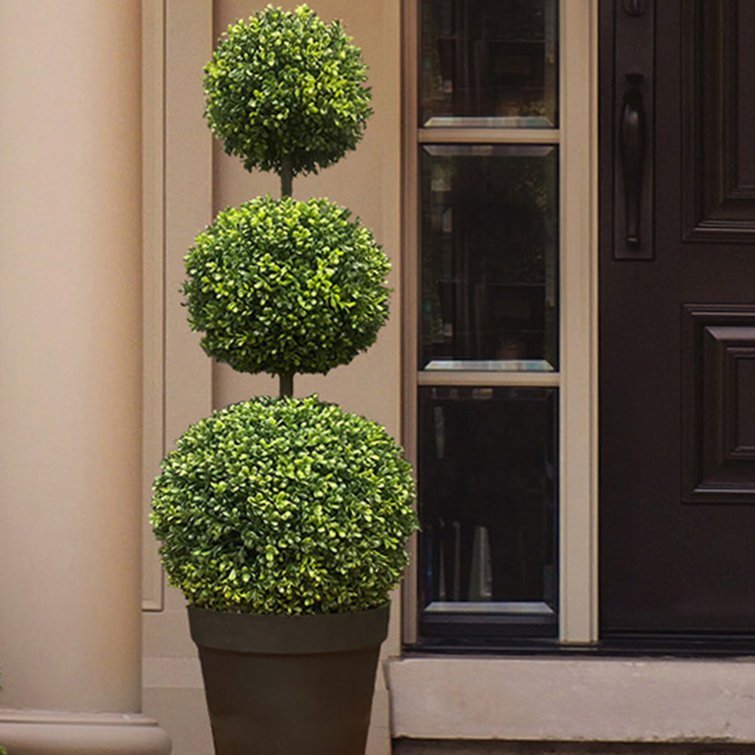 Elegant Adjustable Triple-Ball Boxwood Topiary, 64'' in Plastic Pot