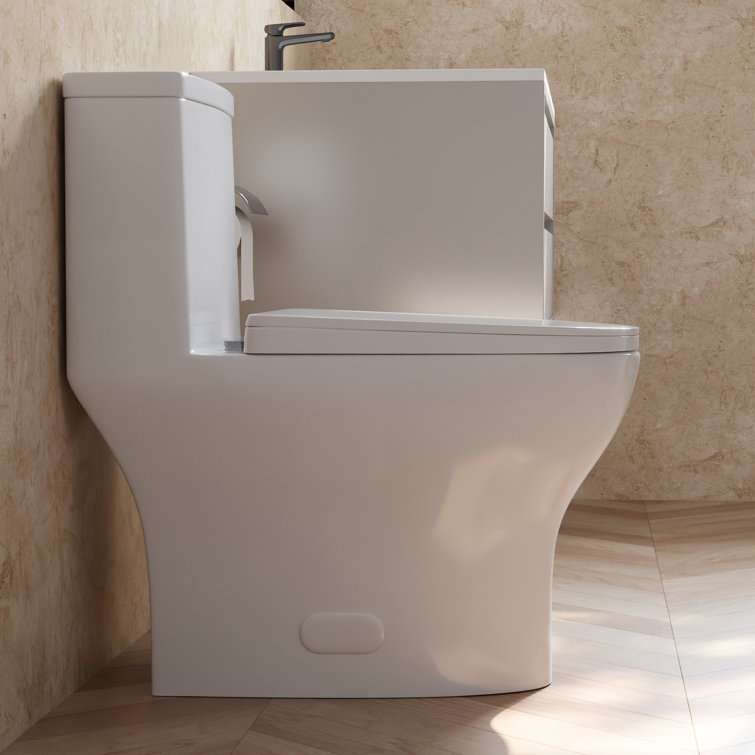 Ally White Ceramic Dual-Flush Elongated One-Piece Toilet