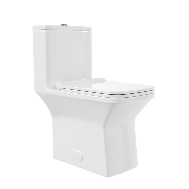Ace White Ceramic Dual-Flush Elongated One-Piece Toilet