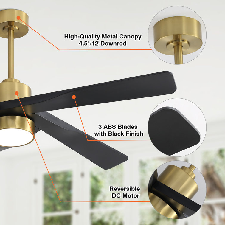 64'' Gold and Black Ceiling Fan with Light and Remote