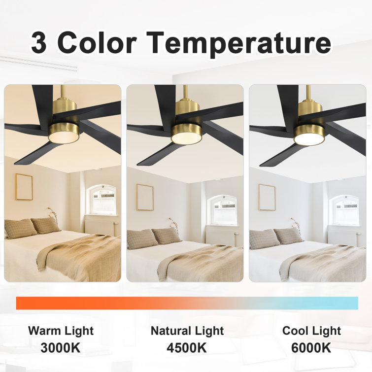 64'' Gold and Black Ceiling Fan with Light and Remote