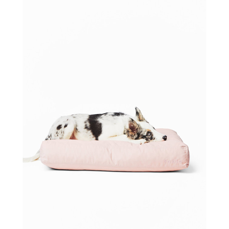 X-Small Dark Shadow Orthopedic Waterproof Dog Bed