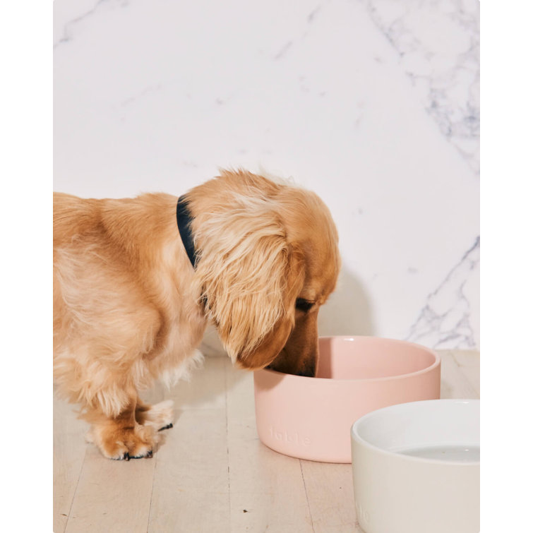 Rose Dust Small Ceramic Dog Bowl with Weighted Base