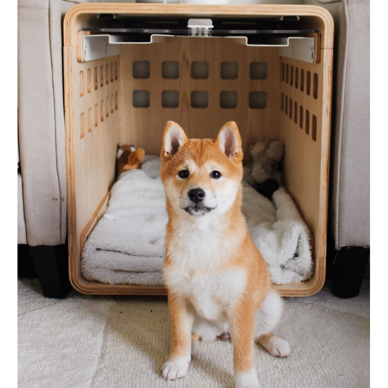 Small Signature Ash Bentwood Pet Crate Table