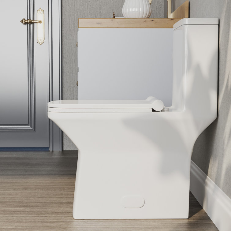 Ace White Ceramic Dual-Flush Elongated One-Piece Toilet