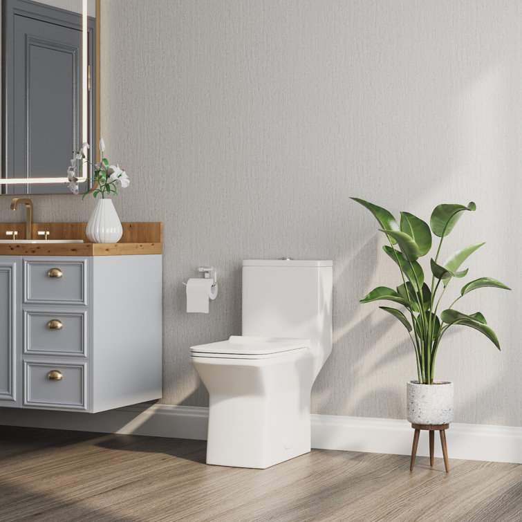 Ace White Ceramic Dual-Flush Elongated One-Piece Toilet