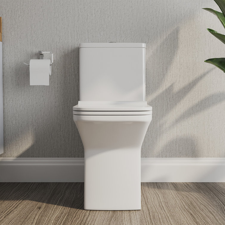 Ace White Ceramic Dual-Flush Elongated One-Piece Toilet