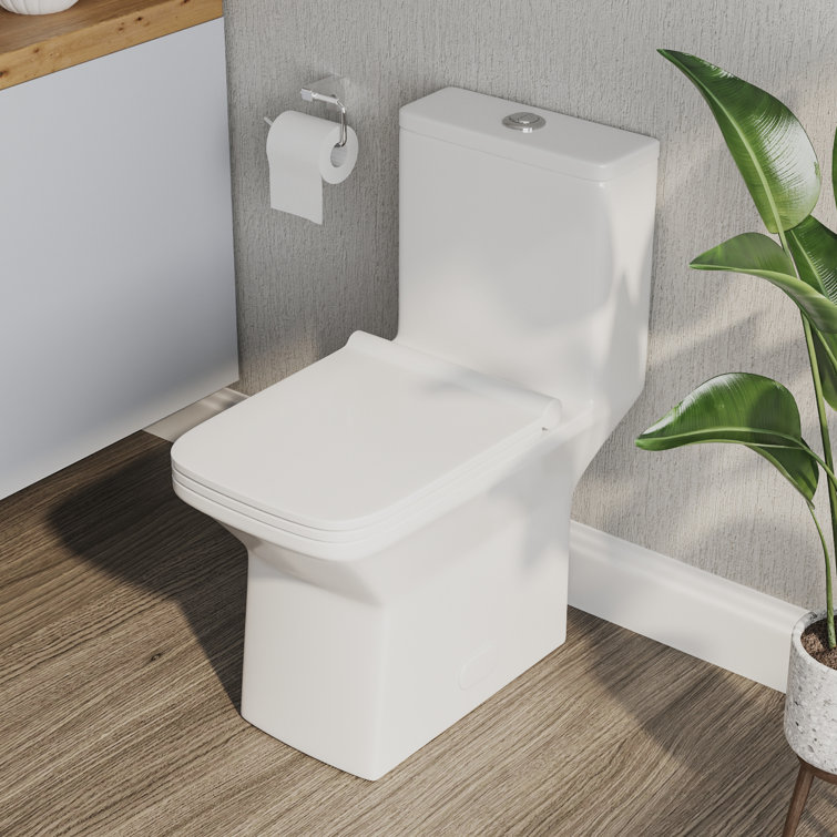 Ace White Ceramic Dual-Flush Elongated One-Piece Toilet