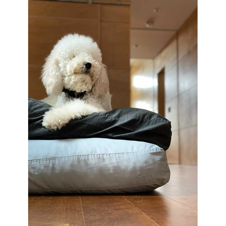 Medium Dark Shadow Orthopedic Waterproof Dog Bed