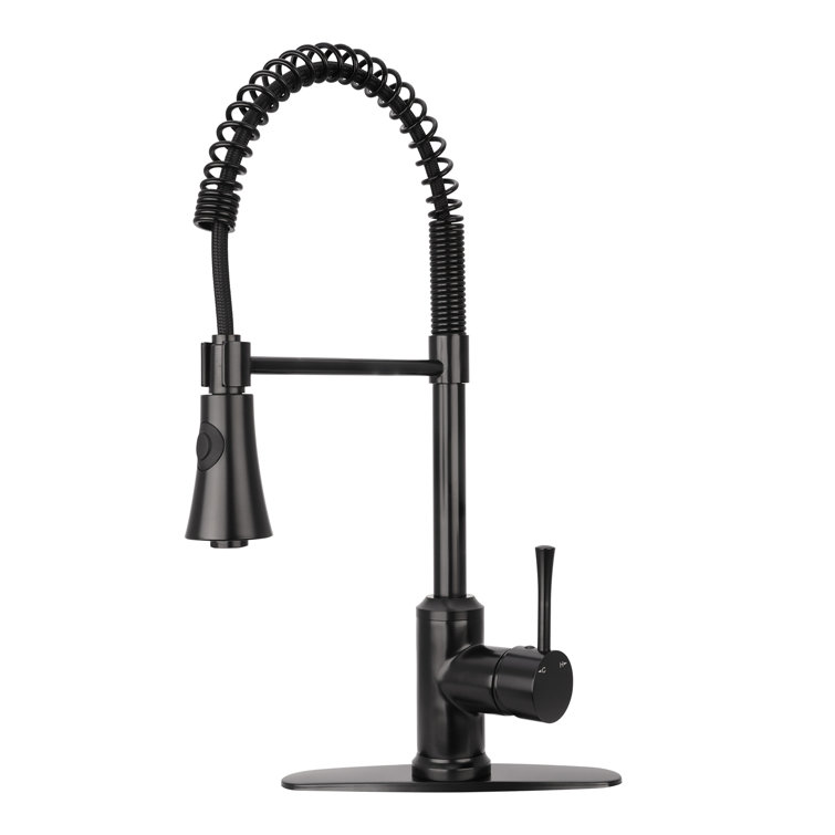 Matte Black Single Handle Pull Down Kitchen Faucet