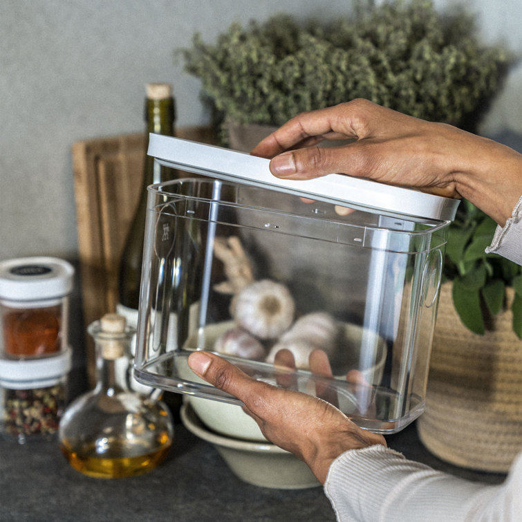 Medium Tall Clear BPA-Free Plastic Airtight Food Storage Container