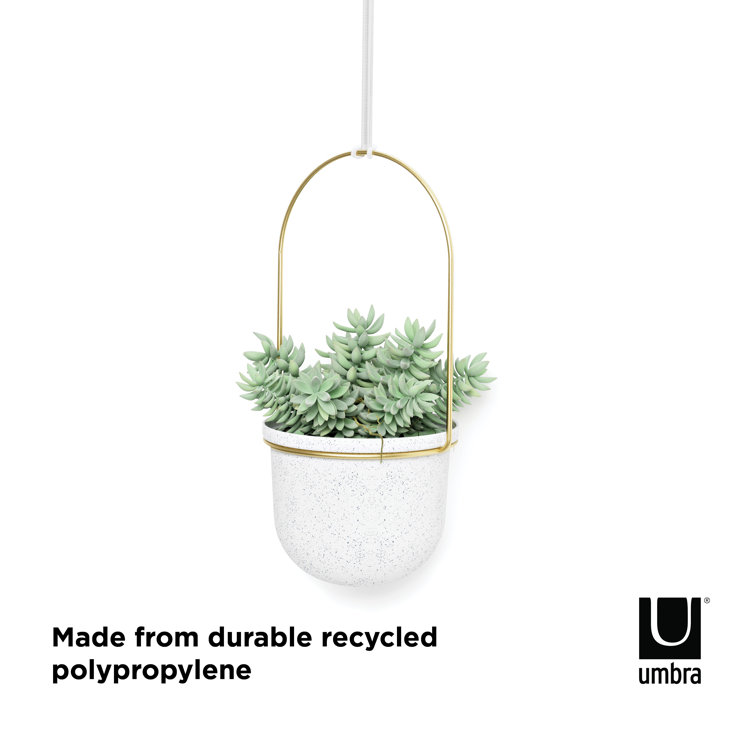 Triflora Adjustable White/Brass Indoor/Outdoor Hanging Planter