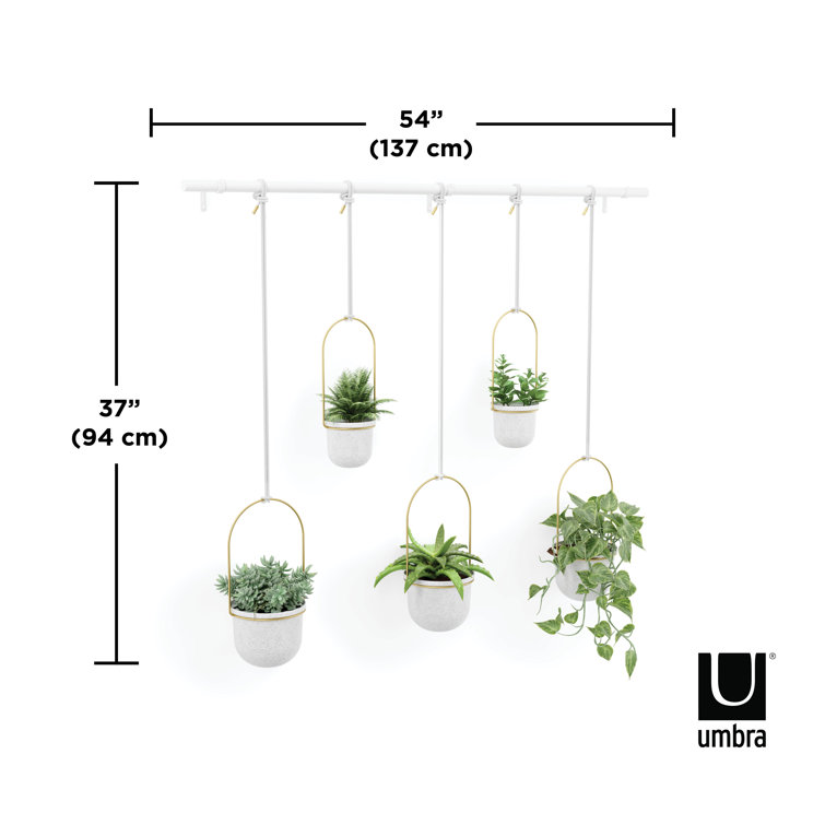 Triflora Adjustable White/Brass Indoor/Outdoor Hanging Planter