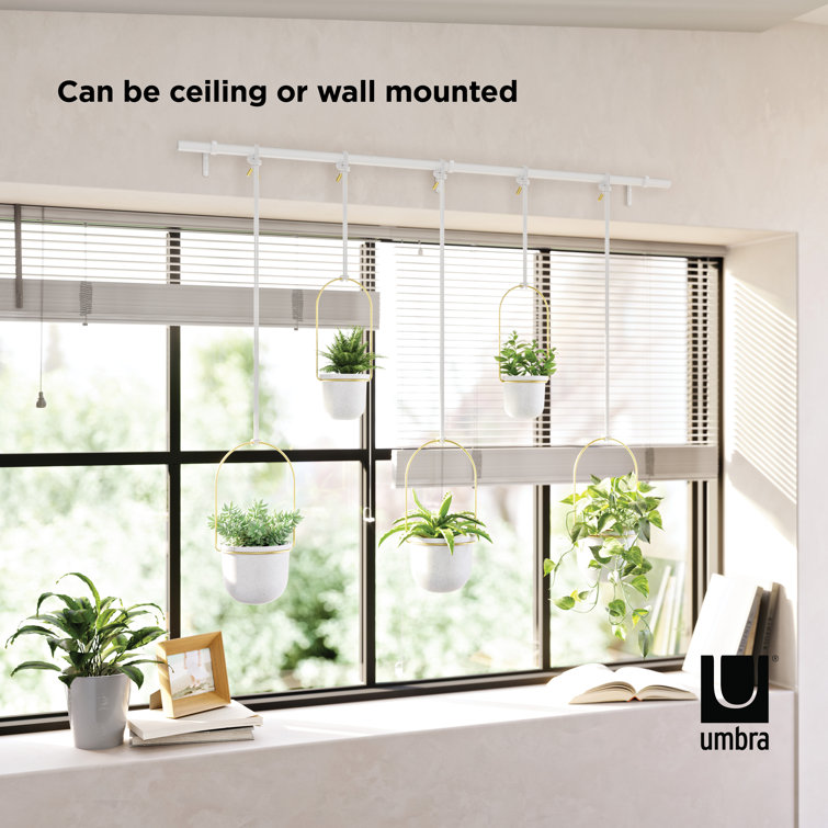 Triflora Adjustable White/Brass Indoor/Outdoor Hanging Planter
