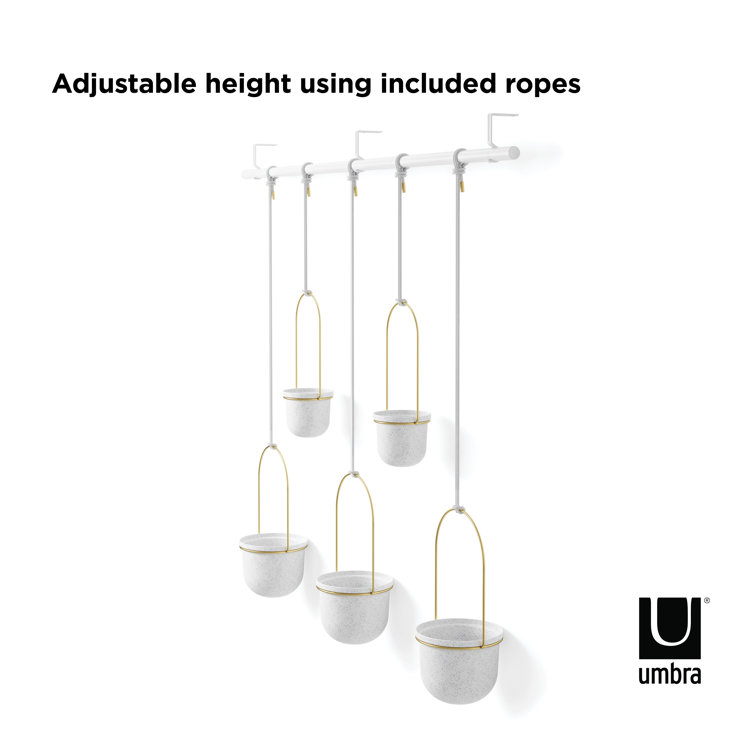 Triflora Adjustable White/Brass Indoor/Outdoor Hanging Planter