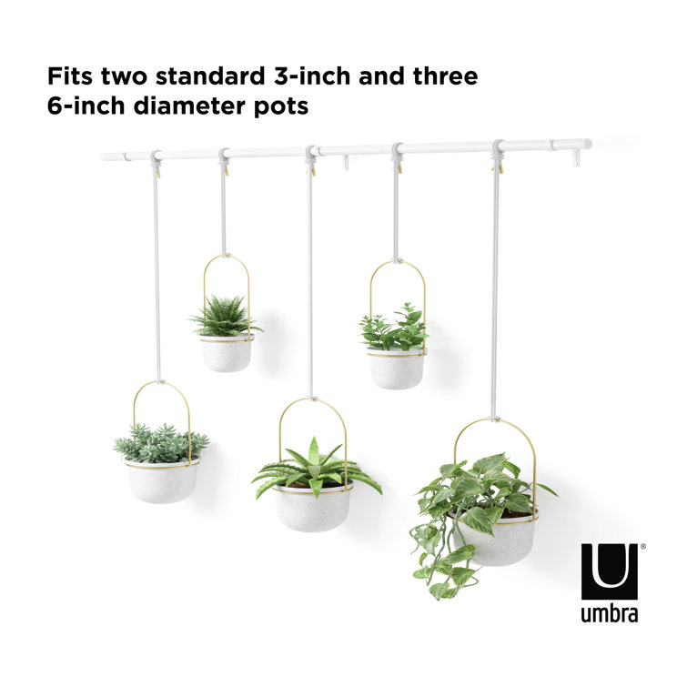 Triflora Adjustable White/Brass Indoor/Outdoor Hanging Planter