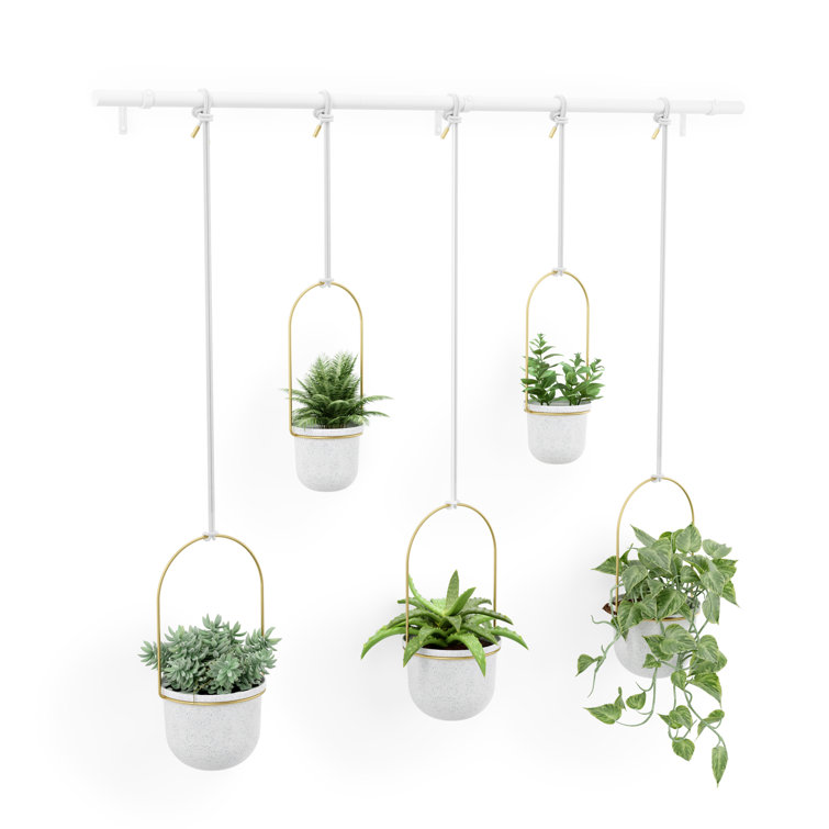 Triflora Adjustable White/Brass Indoor/Outdoor Hanging Planter
