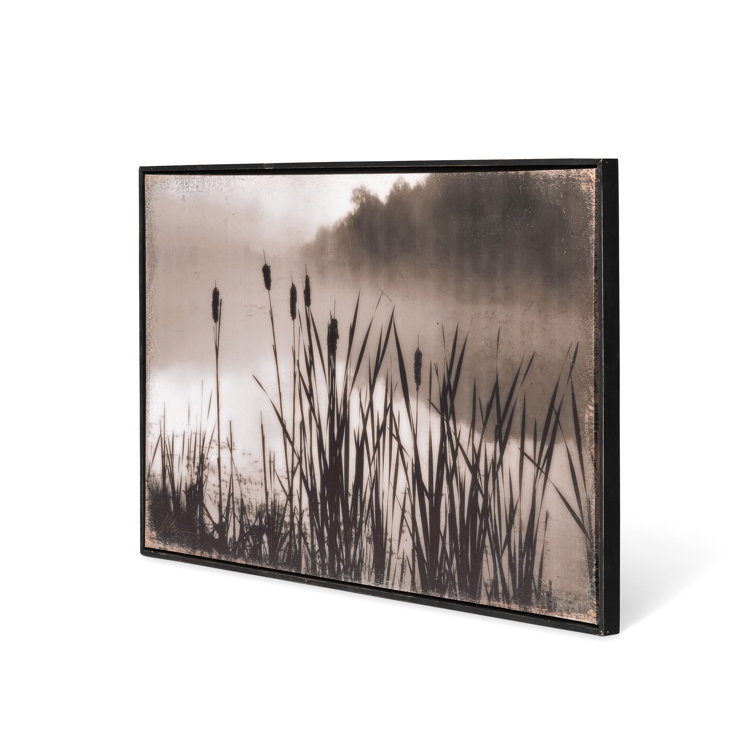 Black and White Framed Cattail Print Art