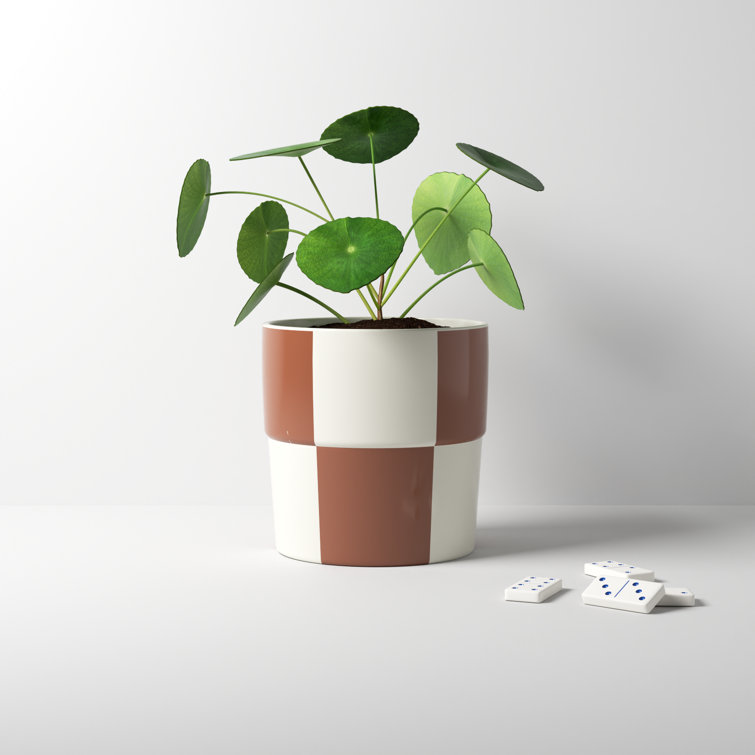 Brown and Cream Ceramic Checkerboard Round Planter