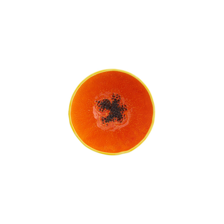 Set of 4 Tropical Papaya Ceramic Dessert Bowls