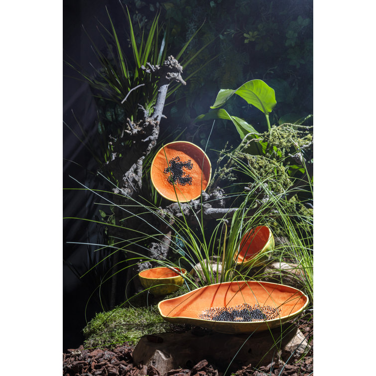 Set of 4 Tropical Papaya Ceramic Dessert Bowls