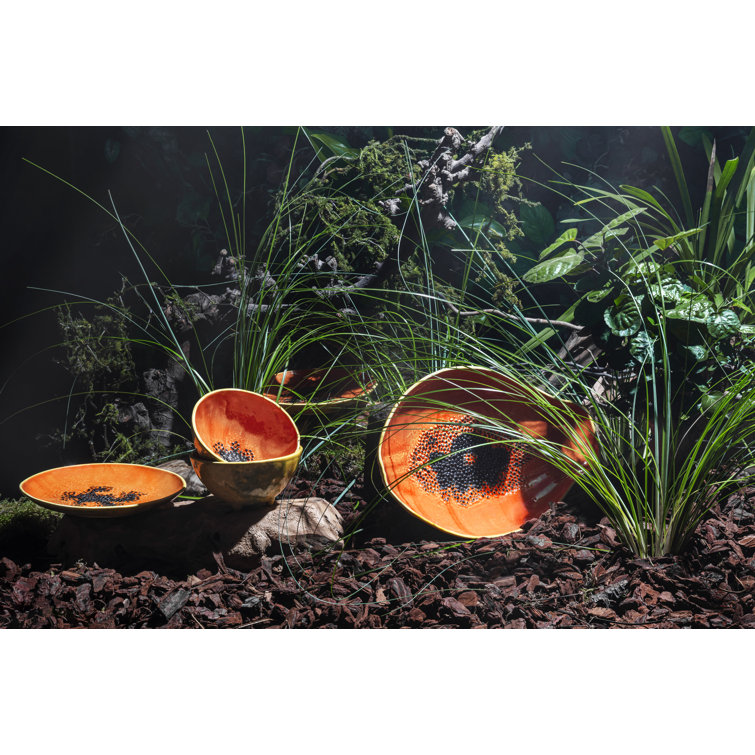 Set of 4 Tropical Papaya Ceramic Dessert Bowls