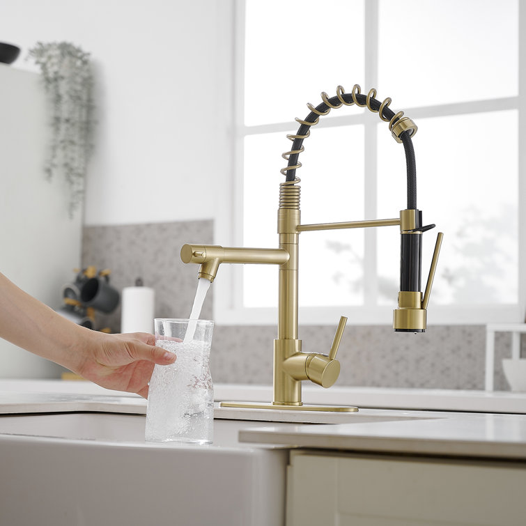Matte Black High-Arc Kitchen Faucet with Pull-Out Spray