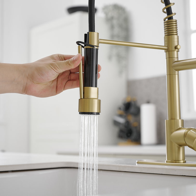 Matte Black High-Arc Kitchen Faucet with Pull-Out Spray