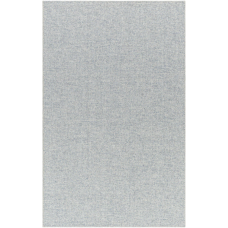 Light Blue Rectangular Synthetic Flat Woven Indoor/Outdoor Rug