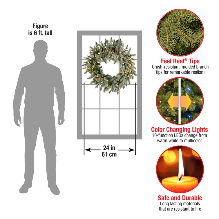 24'' Lighted Artificial Snowy Spruce Christmas Wreath