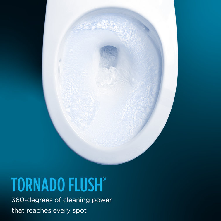 Cotton White High Efficiency Elongated One-Piece Toilet with Bidet