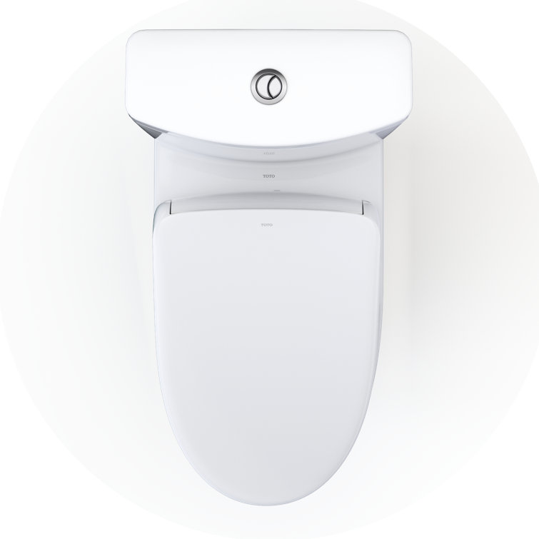 Cotton White Elongated Two-Piece Dual Flush Toilet with Bidet Seat
