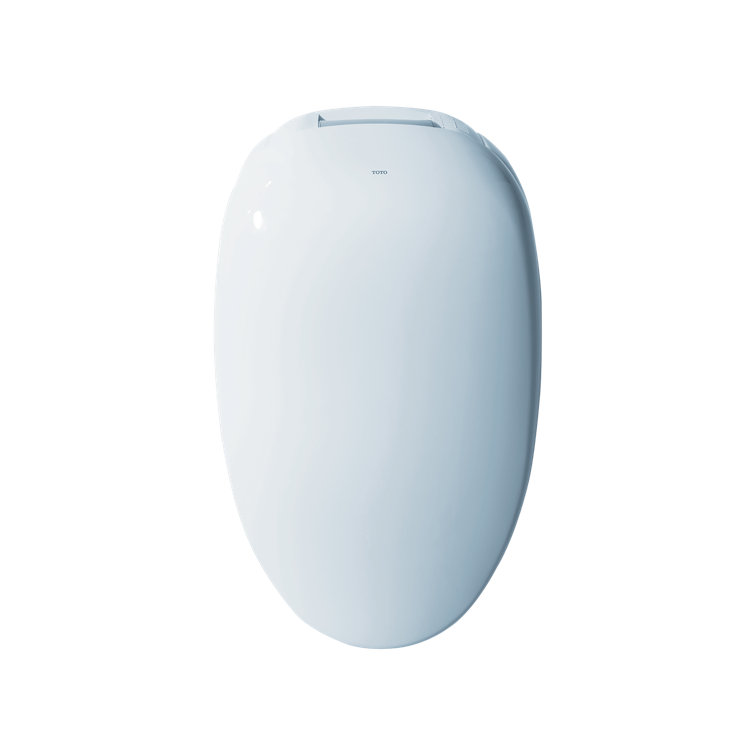 White Ceramic Dual Flush Elongated Bidet Toilet