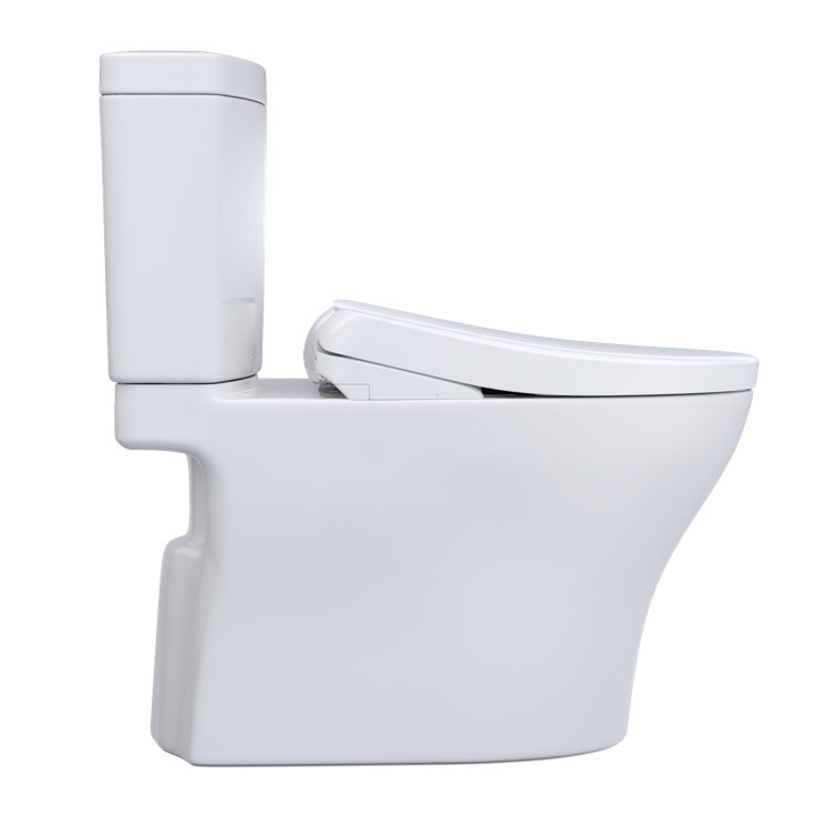Cotton White Elongated Two-Piece Dual Flush Toilet with Bidet Seat