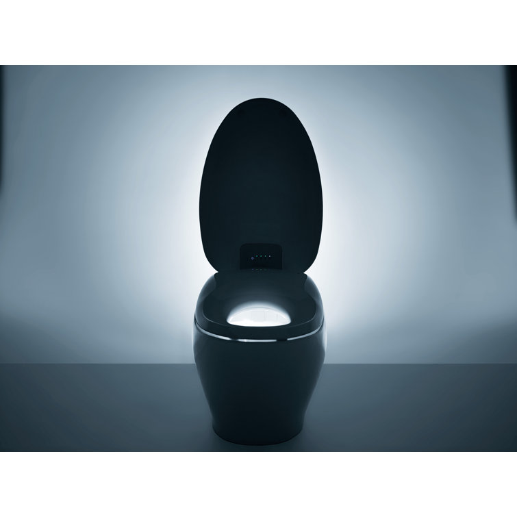 White Ceramic Dual Flush Elongated Bidet Toilet