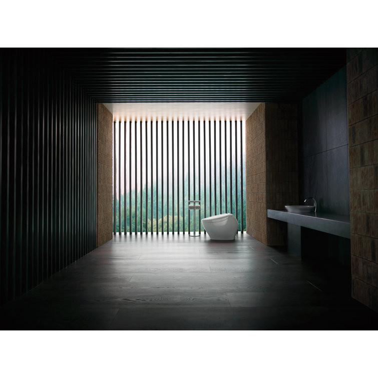 White Ceramic Dual Flush Elongated Bidet Toilet