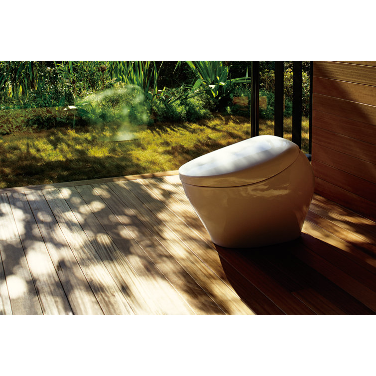 White Ceramic Dual Flush Elongated Bidet Toilet